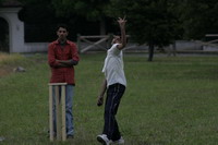 cricket