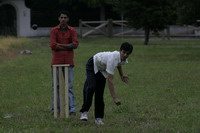 cricket